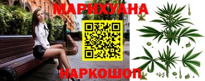 прущие грибы Новокубанск