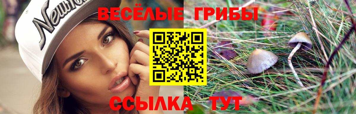 Псилоцибиновые грибы GOLDEN TEACHER Рузаевка