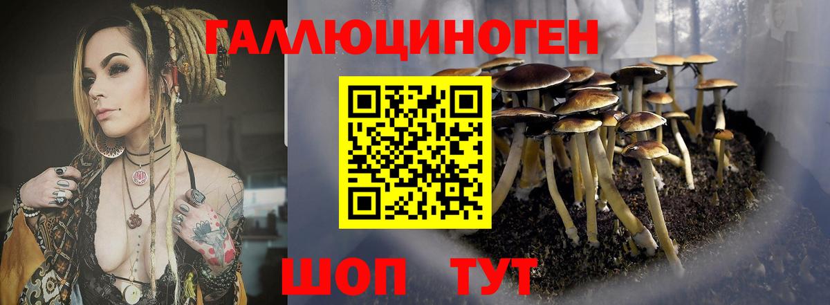 Галлюциногенные грибы MAGIC MUSHROOMS  Галлюциногенные грибы GOLDEN TEACHER  Рузаевка  купить закладку  Вход с VPN 